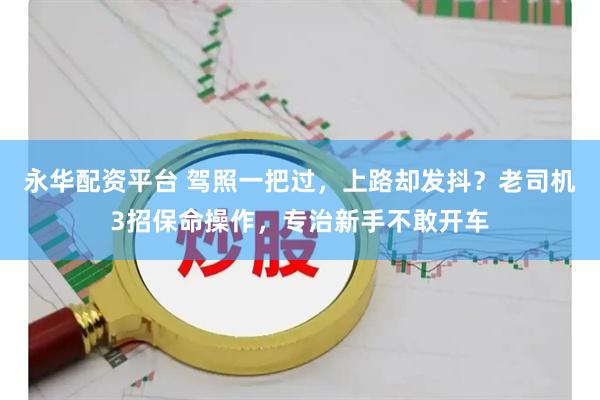 永华配资平台 驾照一把过，上路却发抖？老司机3招保命操作，专治新手不敢开车